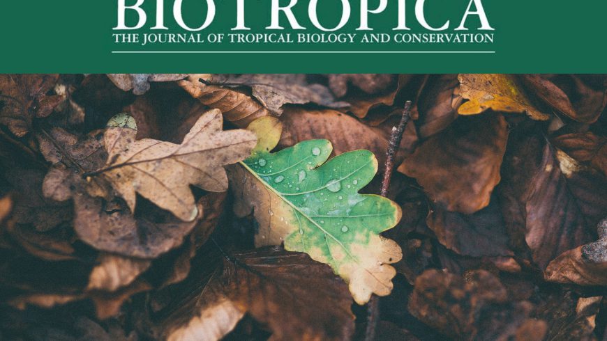 CSRio publishes two articles in the special volume on natural regeneration of Revista Biotropica (volume 48, issue 6)