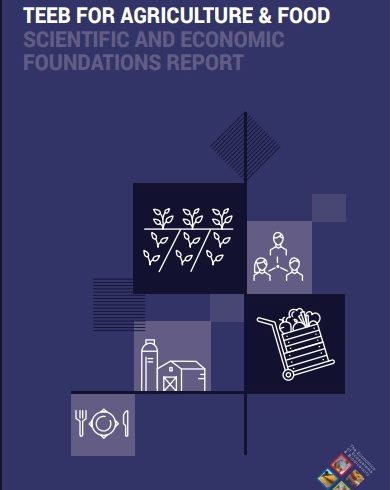 TEEB for Agriculture & Food: Scientific and Economic Foundations report