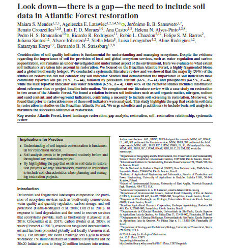 Look down— there is a gap— the need to include soil data in Atlantic Forest restoration