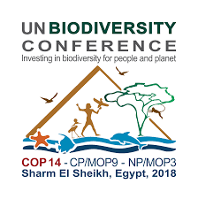 IIS at UN Biodiversity Conference 2018