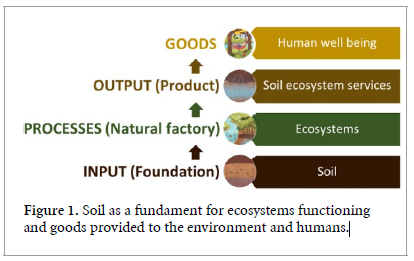 More effort is needed to implement and disseminate soil protection measures for tropical soils